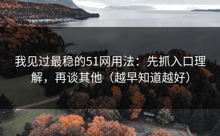 我见过最稳的51网用法：先抓入口理解，再谈其他（越早知道越好）