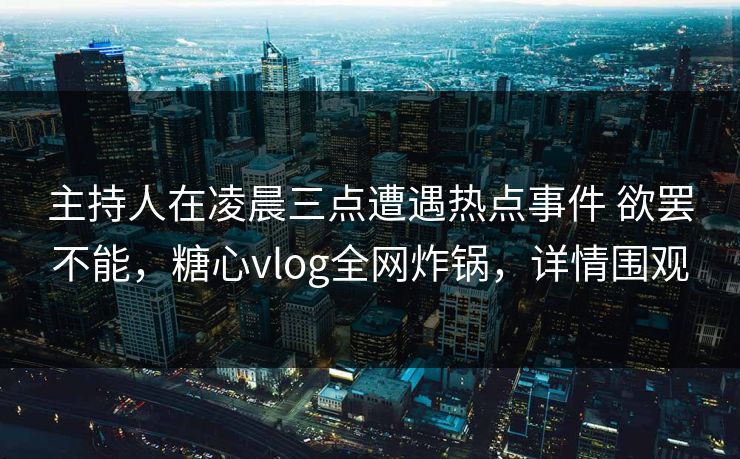 主持人在凌晨三点遭遇热点事件 欲罢不能，糖心vlog全网炸锅，详情围观