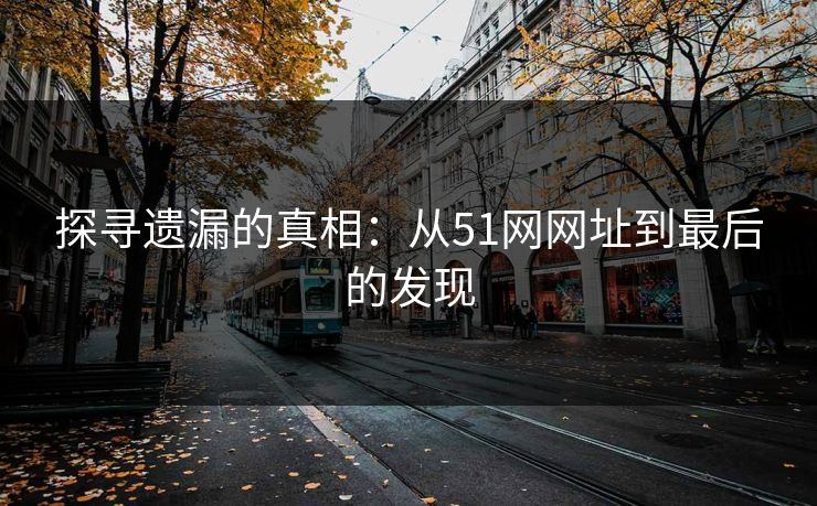 探寻遗漏的真相：从51网网址到最后的发现