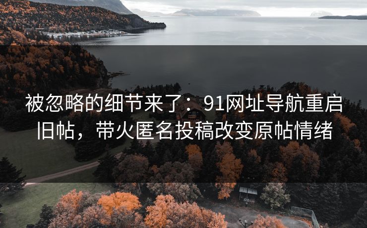 被忽略的细节来了：91网址导航重启旧帖，带火匿名投稿改变原帖情绪